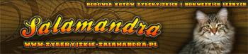 Bild "Züchterlinks:salamandra.jpg"